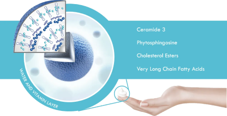 Lipid Replacement img